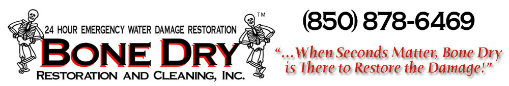 Bone Dry Restoration and Cleaning, Inc